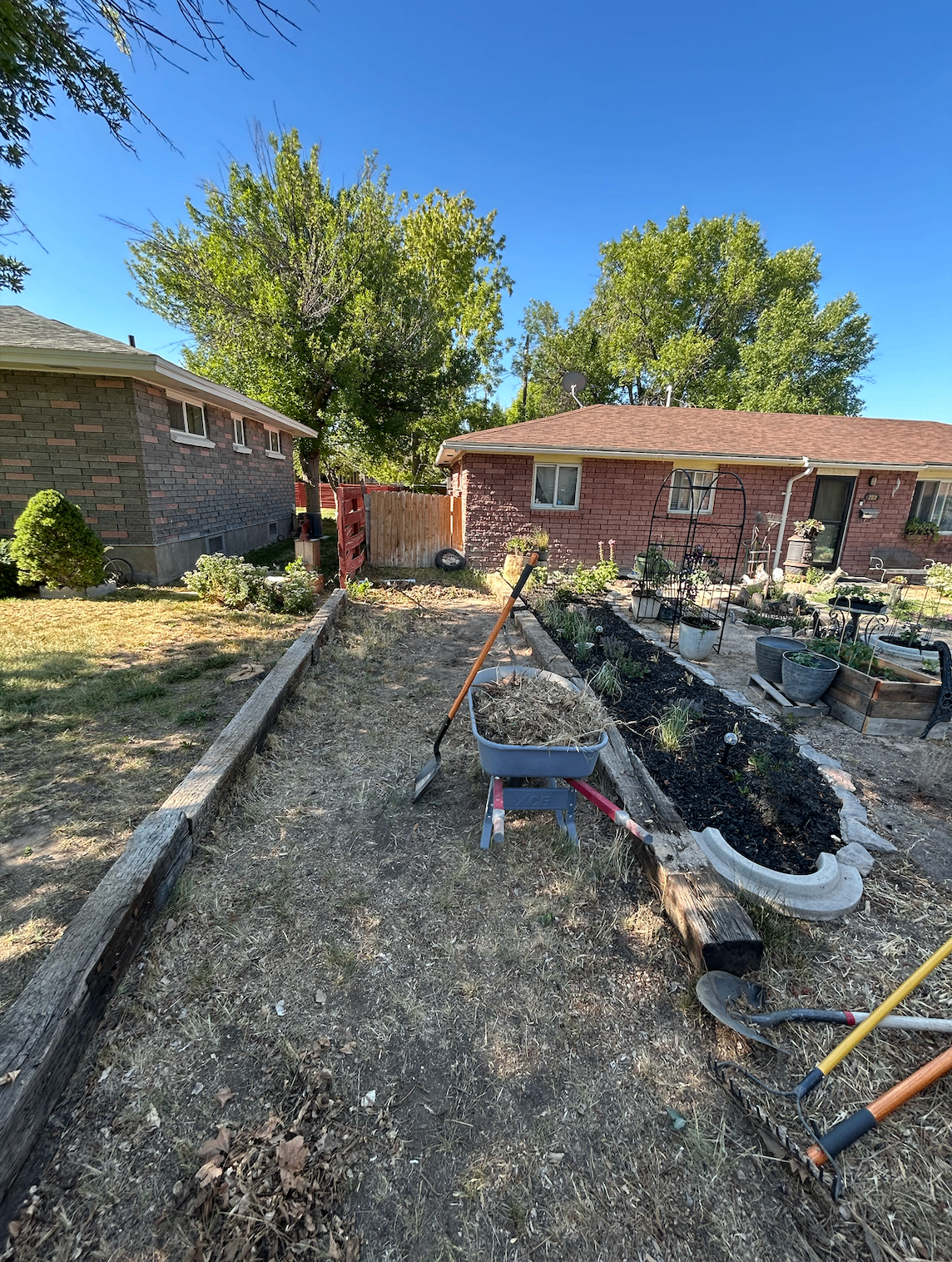 Backyard cleanup and debris removal in progress